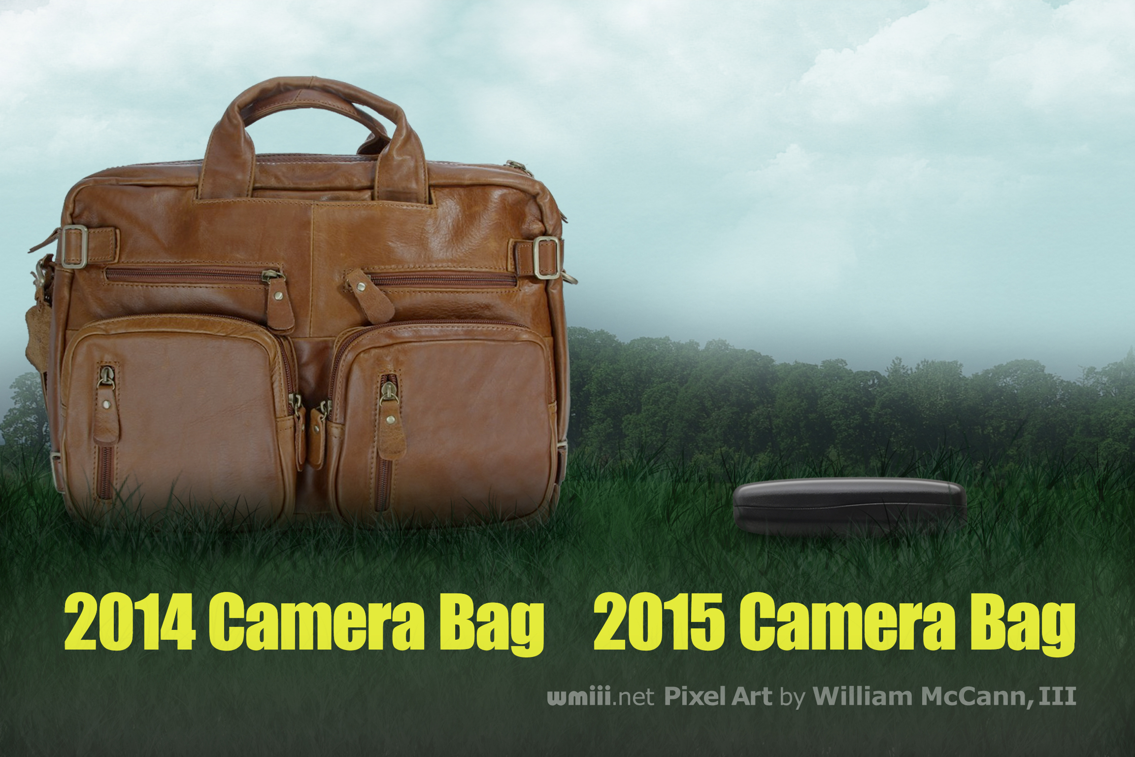 2014 - 2015 Camera Bags