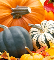 Festive Fall Assortment