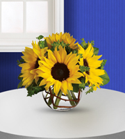 The FTD Color Your Day With Beauty Bouquet 